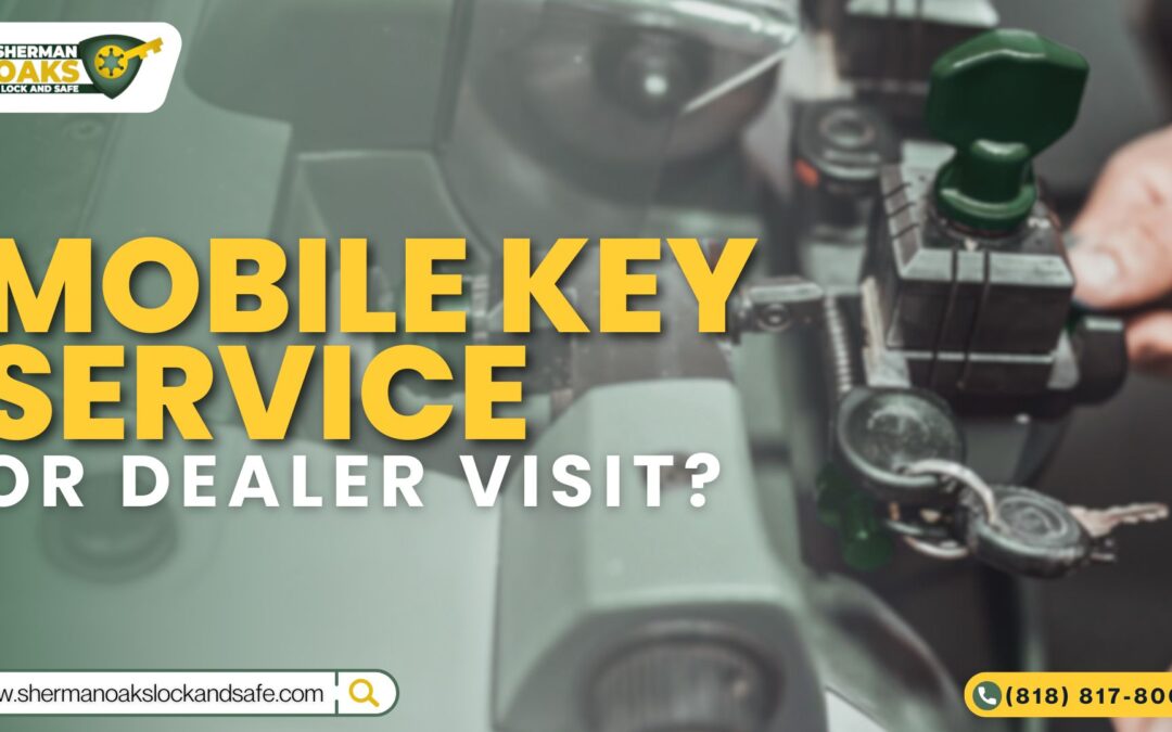 Mobile Key Service or Dealer Visit?